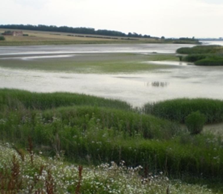 Monitoring Welwick and Chowder Ness managed realignments