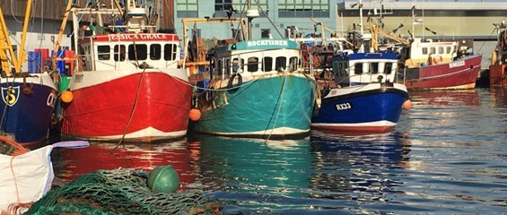 brixham boats in harbour