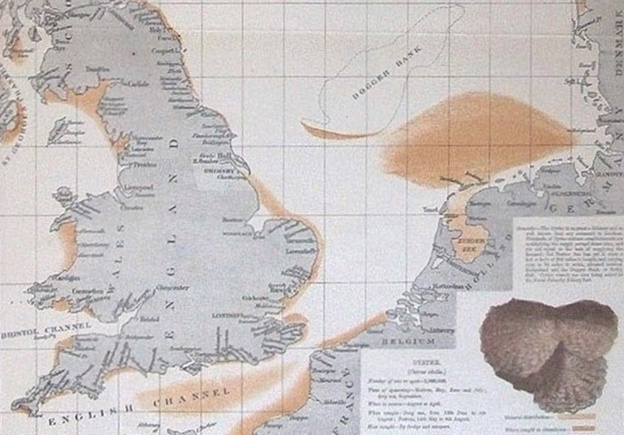 olsens piscatorial atlas of the north sea english channel