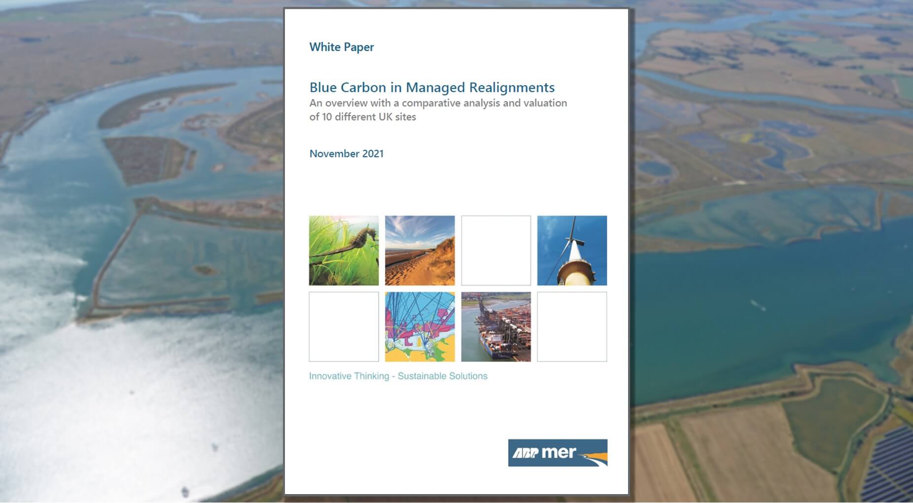 Blue Carbon in Managed Realignments