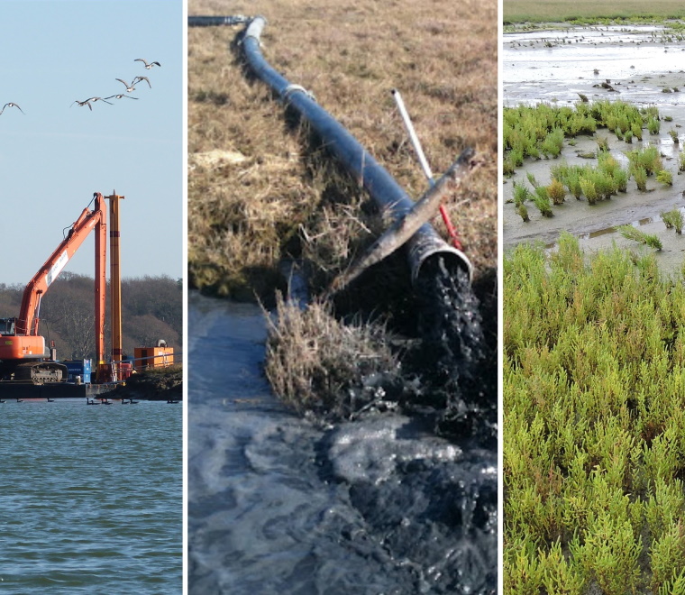 Feasibility studies for Solent Beneficial Use project