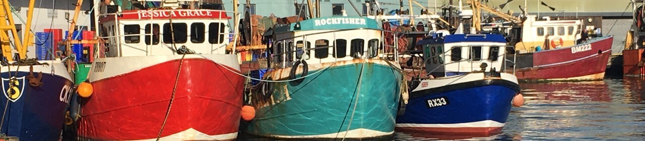 brixham boats in harbour