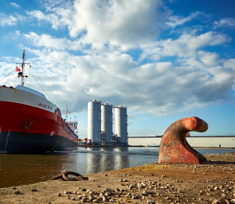 You might also like...