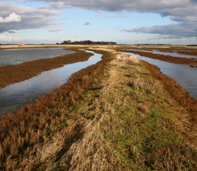 Medmerry coast