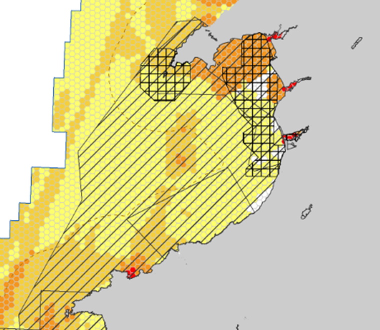 Marine invasive non-native species pathways assessment 